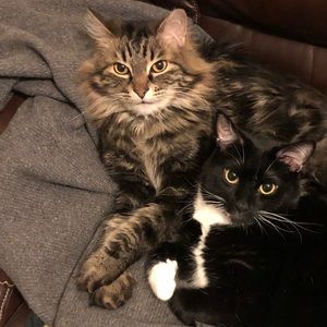 Meet your Posher, Yvonne